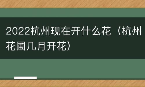 2022杭州现在开什么花（杭州花圃几月开花）