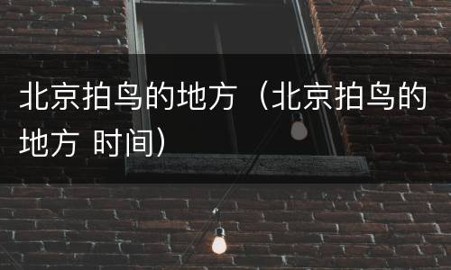 北京拍鸟的地方（北京拍鸟的地方 时间）