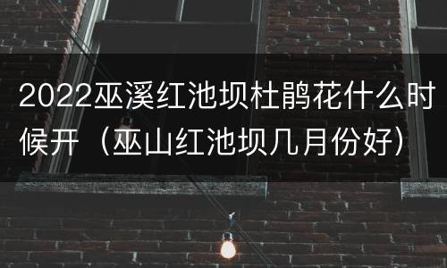 2022巫溪红池坝杜鹃花什么时候开（巫山红池坝几月份好）