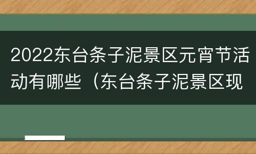 2022东台条子泥景区元宵节活动有哪些（东台条子泥景区现在开放吗）