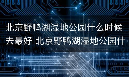北京野鸭湖湿地公园什么时候去最好 北京野鸭湖湿地公园什么时候去最好