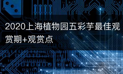 2020上海植物园五彩芋最佳观赏期+观赏点