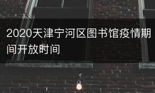 2020天津宁河区图书馆疫情期间开放时间