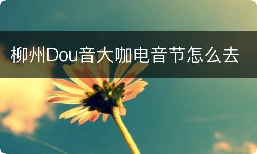 柳州Dou音大咖电音节怎么去