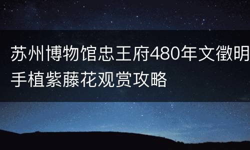 苏州博物馆忠王府480年文徵明手植紫藤花观赏攻略
