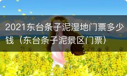 2021东台条子泥湿地门票多少钱（东台条子泥景区门票）