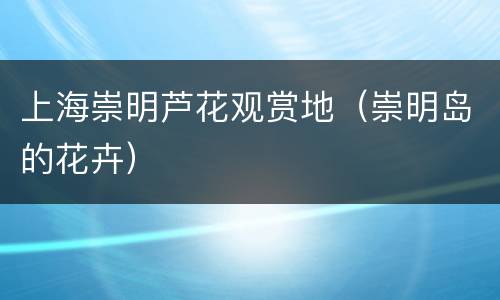 上海崇明芦花观赏地（崇明岛的花卉）