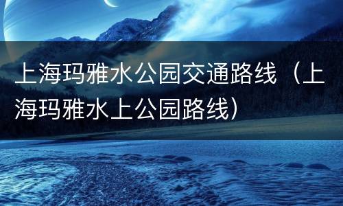 上海玛雅水公园交通路线（上海玛雅水上公园路线）