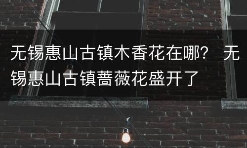 无锡惠山古镇木香花在哪？ 无锡惠山古镇蔷薇花盛开了