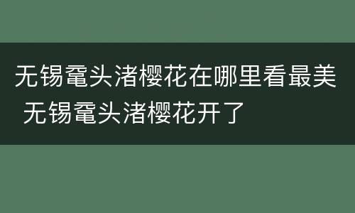 无锡鼋头渚樱花在哪里看最美 无锡鼋头渚樱花开了
