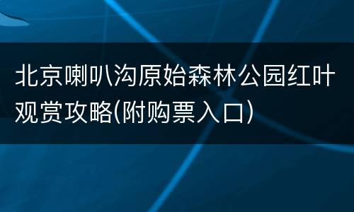 北京喇叭沟原始森林公园红叶观赏攻略(附购票入口)