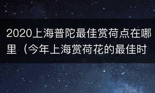 2020上海普陀最佳赏荷点在哪里（今年上海赏荷花的最佳时间）