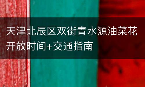 天津北辰区双街青水源油菜花开放时间+交通指南
