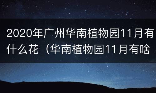 2020年广州华南植物园11月有什么花（华南植物园11月有啥花）