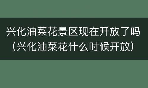 兴化油菜花景区现在开放了吗（兴化油菜花什么时候开放）