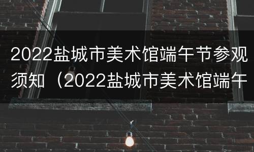 2022盐城市美术馆端午节参观须知（2022盐城市美术馆端午节参观须知视频）