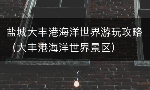 盐城大丰港海洋世界游玩攻略（大丰港海洋世界景区）