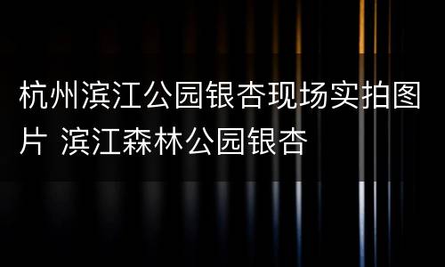 杭州滨江公园银杏现场实拍图片 滨江森林公园银杏