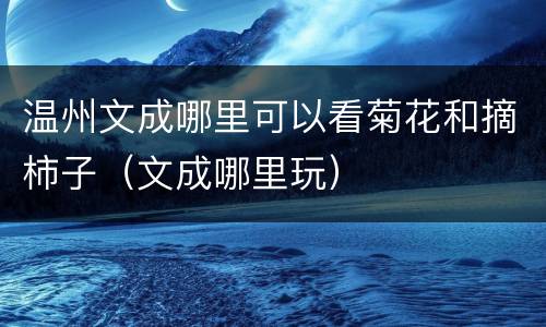 温州文成哪里可以看菊花和摘柿子（文成哪里玩）