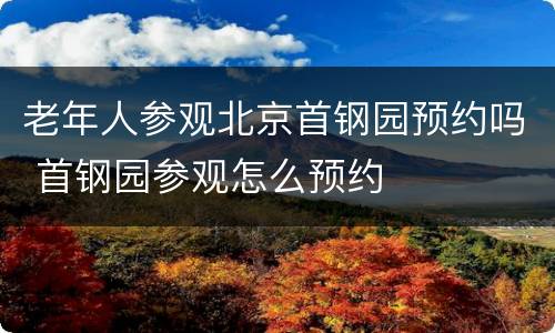 老年人参观北京首钢园预约吗 首钢园参观怎么预约