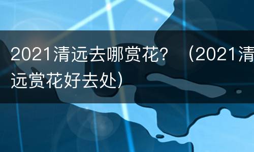 2021清远去哪赏花？（2021清远赏花好去处）