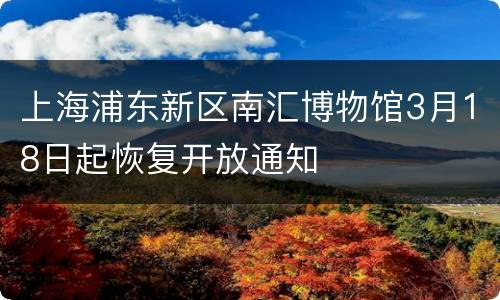 上海浦东新区南汇博物馆3月18日起恢复开放通知