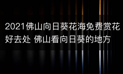 2021佛山向日葵花海免费赏花好去处 佛山看向日葵的地方