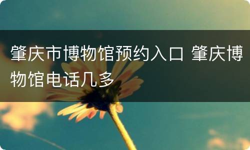 肇庆市博物馆预约入口 肇庆博物馆电话几多