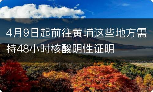 4月9日起前往黄埔这些地方需持48小时核酸阴性证明