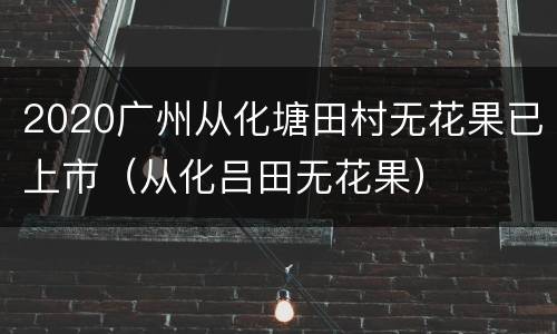 2020广州从化塘田村无花果已上市（从化吕田无花果）