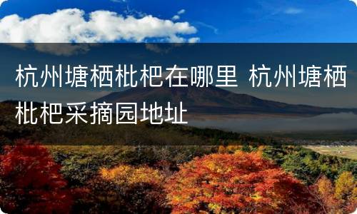 杭州塘栖枇杷在哪里 杭州塘栖枇杷采摘园地址