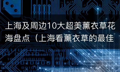 上海及周边10大超美薰衣草花海盘点（上海看薰衣草的最佳地方）