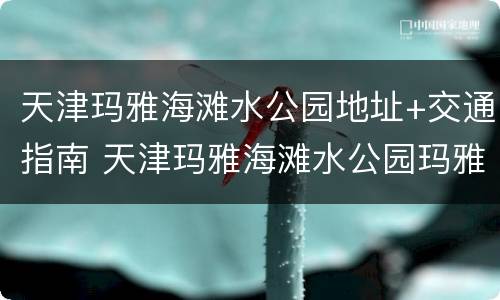 天津玛雅海滩水公园地址+交通指南 天津玛雅海滩水公园玛雅海滩