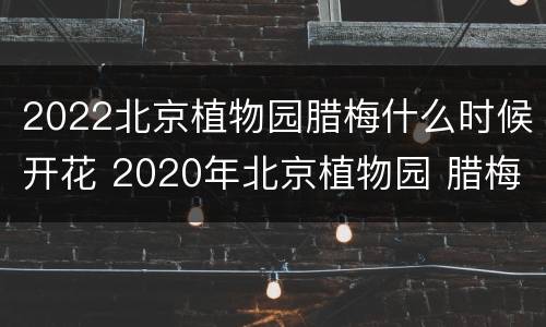 2022北京植物园腊梅什么时候开花 2020年北京植物园 腊梅