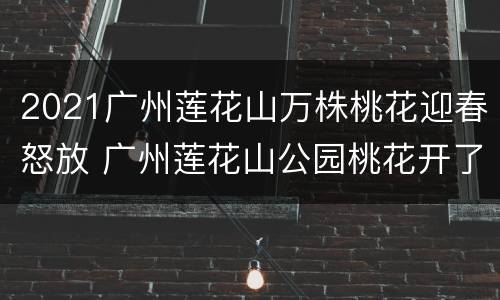 2021广州莲花山万株桃花迎春怒放 广州莲花山公园桃花开了吗