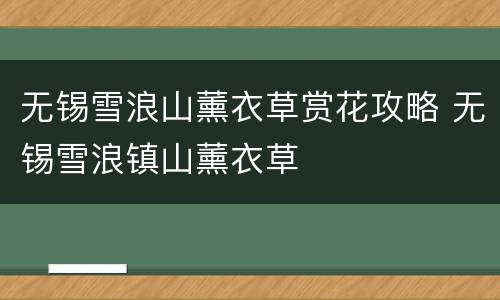无锡雪浪山薰衣草赏花攻略 无锡雪浪镇山薰衣草