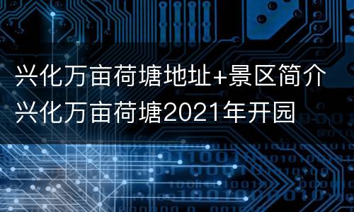 兴化万亩荷塘地址+景区简介 兴化万亩荷塘2021年开园
