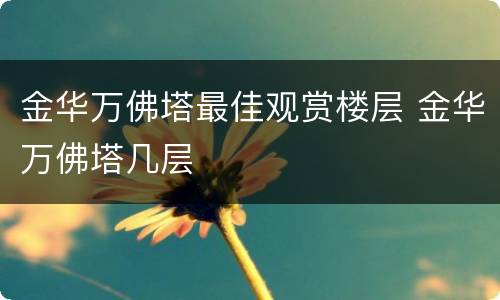 金华万佛塔最佳观赏楼层 金华万佛塔几层