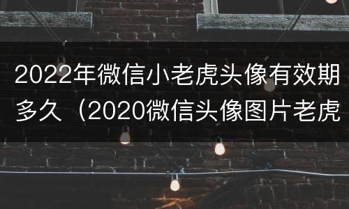 2022年微信小老虎头像有效期多久（2020微信头像图片老虎）