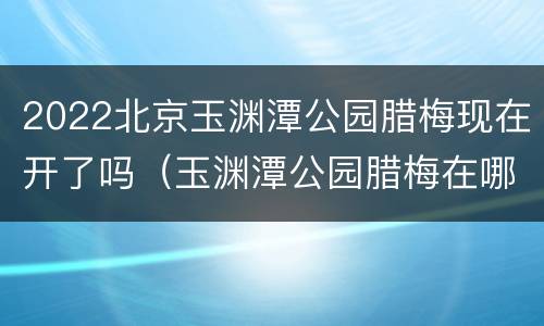 2022北京玉渊潭公园腊梅现在开了吗（玉渊潭公园腊梅在哪里）