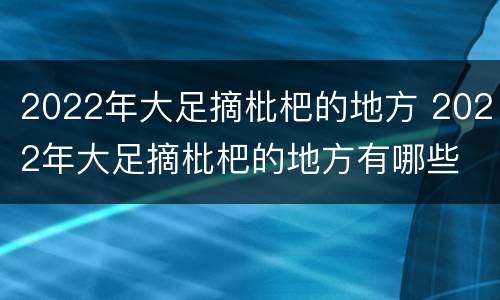 2022年大足摘枇杷的地方 2022年大足摘枇杷的地方有哪些