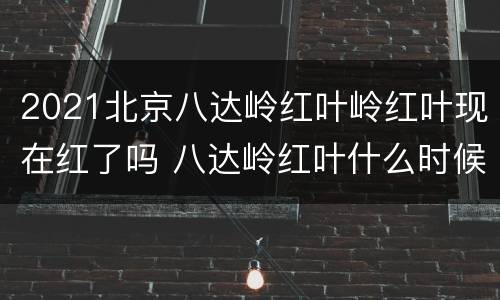2021北京八达岭红叶岭红叶现在红了吗 八达岭红叶什么时候红