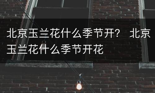 北京玉兰花什么季节开？ 北京玉兰花什么季节开花