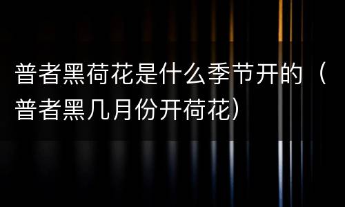普者黑荷花是什么季节开的（普者黑几月份开荷花）