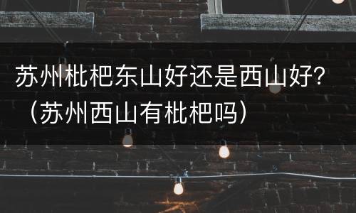 苏州枇杷东山好还是西山好？（苏州西山有枇杷吗）
