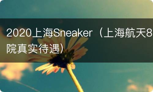 2020上海Sneaker（上海航天8院真实待遇）