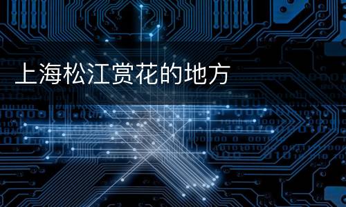 上海松江赏花的地方