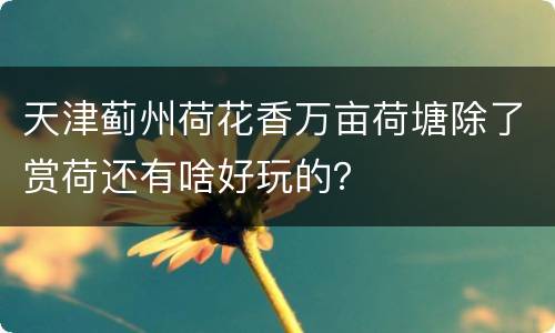 天津蓟州荷花香万亩荷塘除了赏荷还有啥好玩的？