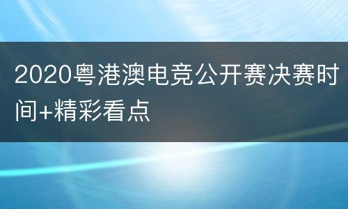 2020粤港澳电竞公开赛决赛时间+精彩看点