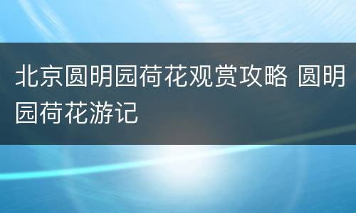 北京圆明园荷花观赏攻略 圆明园荷花游记